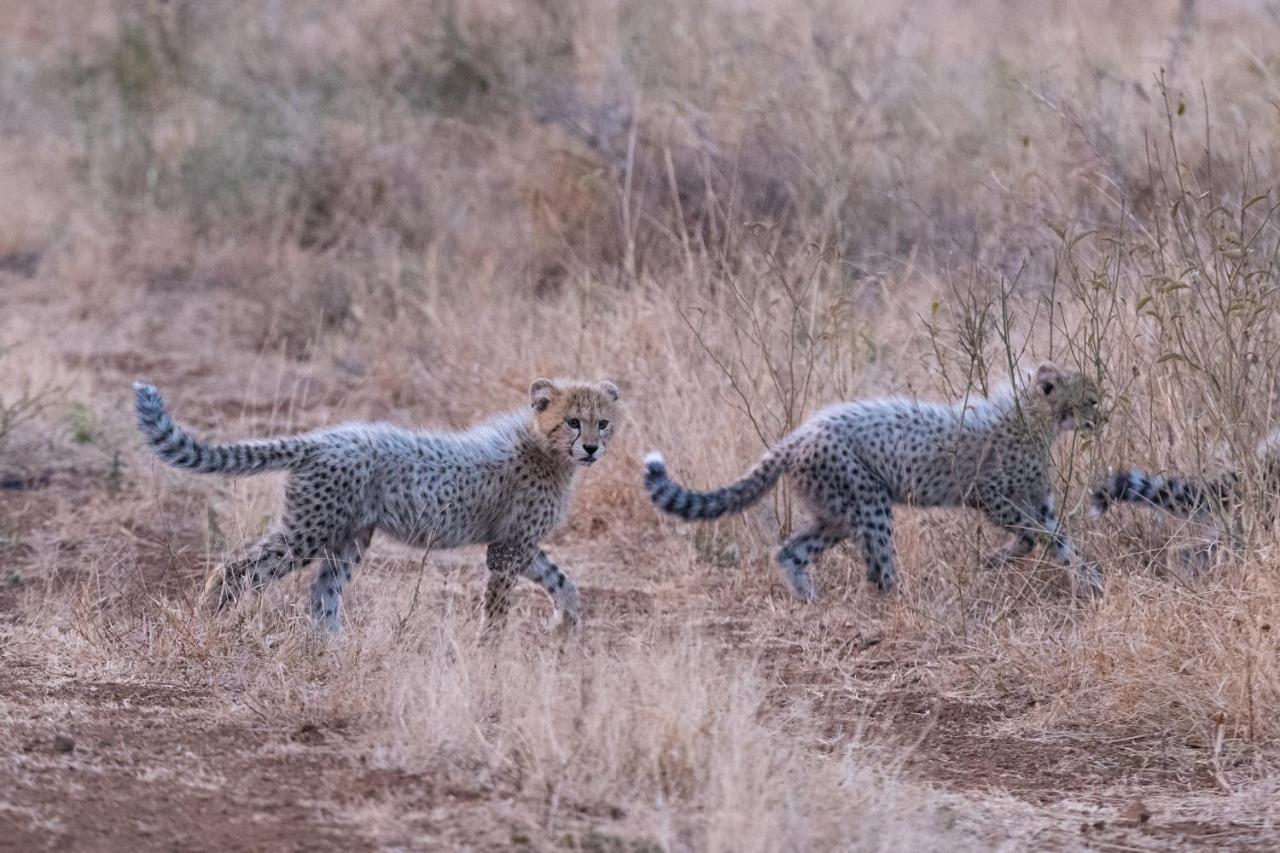 Mavela Game Lodge Mkuze Ngoại thất bức ảnh