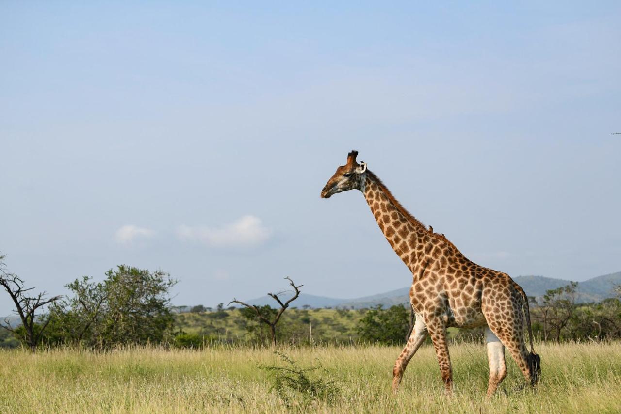 Mavela Game Lodge Mkuze Ngoại thất bức ảnh